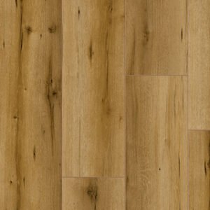 Classen Artes Dub Kruger 54830