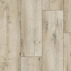 Classes Arteo Dub Yellowstone 54821